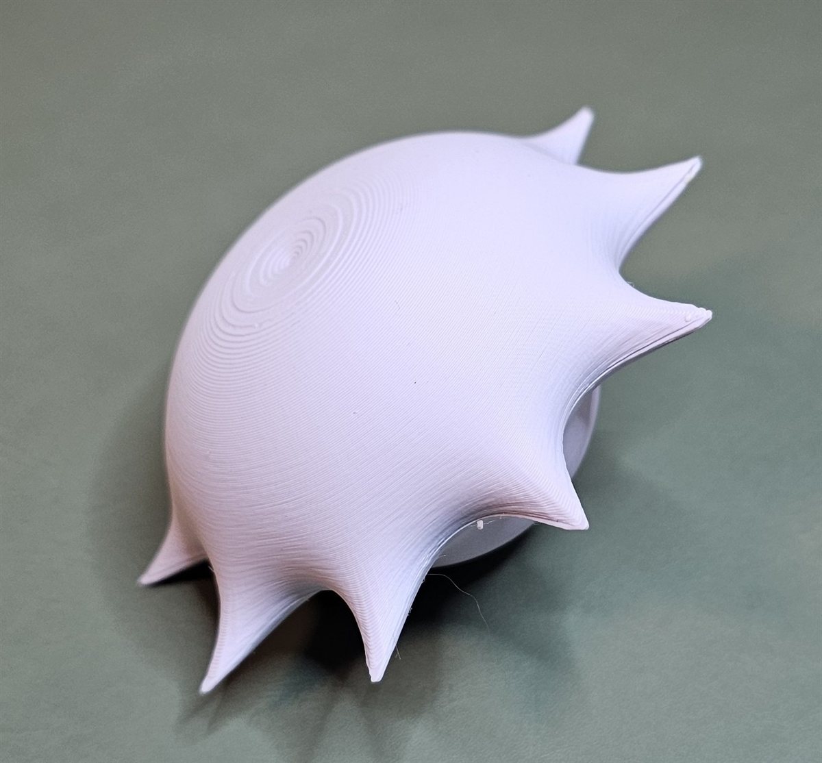 A 3D-printed mathematical ornament generated from a complex function via STL export.